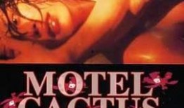 仙人掌旅馆在线观看,揭秘仙人掌旅馆的奇幻之旅